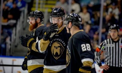 Newfoundland Growlers won't finish the season as membership in ECHL terminated