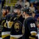 Newfoundland Growlers won't finish the season as membership in ECHL terminated