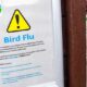 European Scientists Assess Avian Flu Pandemic Risk