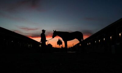 Date, start time, horses, odds, field and post positions