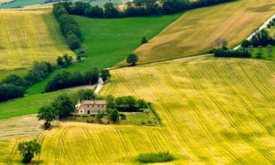 A Sampling Of Wines From The Little Known Marche Region Of Italy