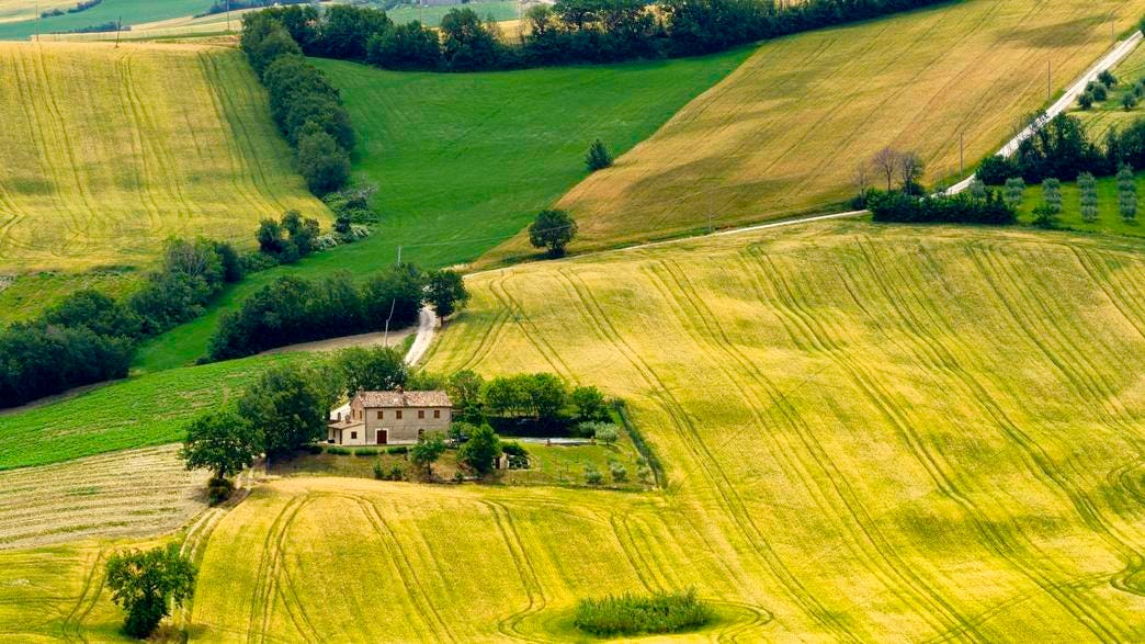 A Sampling Of Wines From The Little Known Marche Region Of Italy