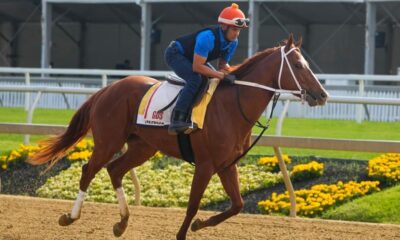 Belmont Stakes 2024: Cheat Sheet for racing form, past performances, odds, post positions, jockeys, post time