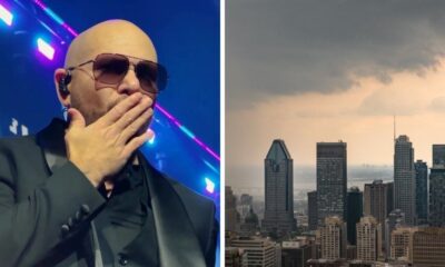 Pitbull cancelled his Montreal show during Grand Prix weekend and fans are not happy