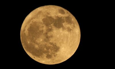 Strawberry moon 2024: When to watch June's full moon