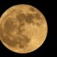 Strawberry moon 2024: When to watch June's full moon