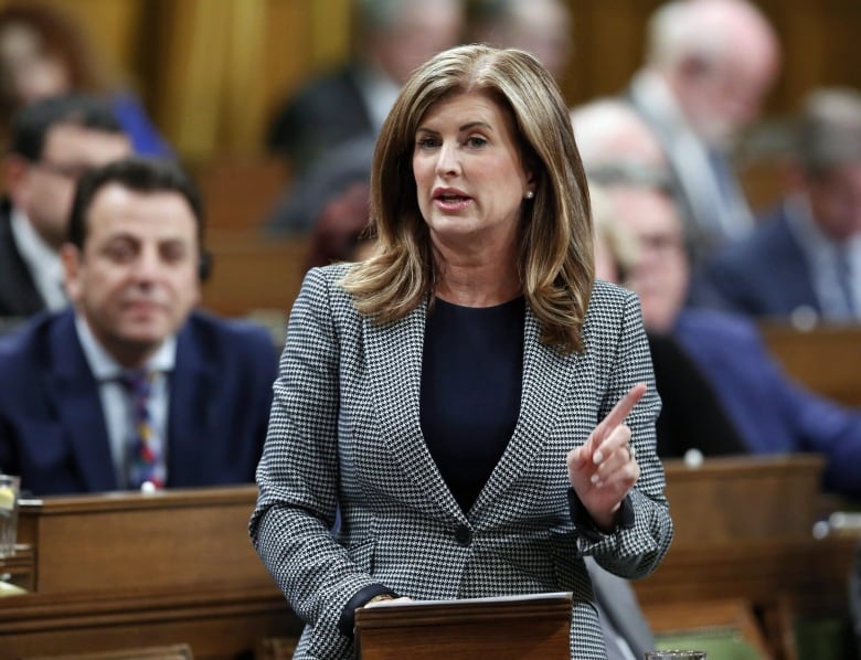 A woman with brown hair and a checkered black and white blazer stands in Parliament.