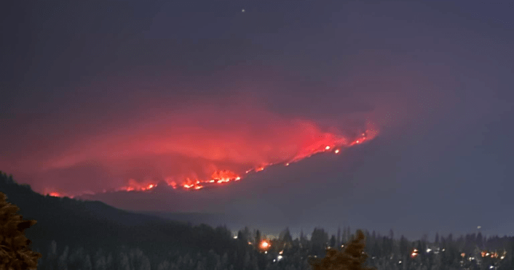 Homes lost due to wildfire near Golden B.C. with evacuation order, alert in place