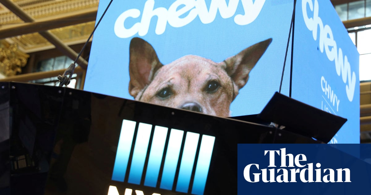 Chewy shares stage short-lived rally as filing reveals ‘Roaring Kitty’ takes stake | Stock markets