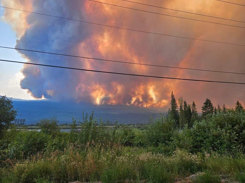 Wildfire near Golden, B.C., destroys homes