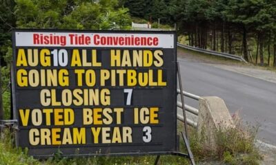 Pitbull's on and we're off: Ice cream shop workers opt for some team-building at concert