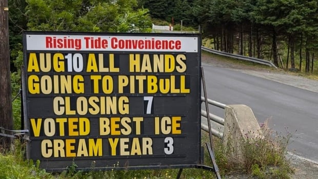 Pitbull's on and we're off: Ice cream shop workers opt for some team-building at concert