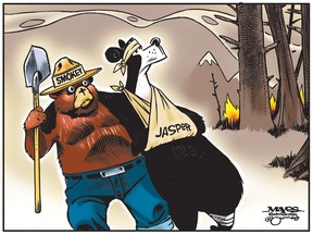 Jasper wildfire cartoon