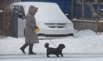 Farmers' Almanac Canada: Winter weather forecast