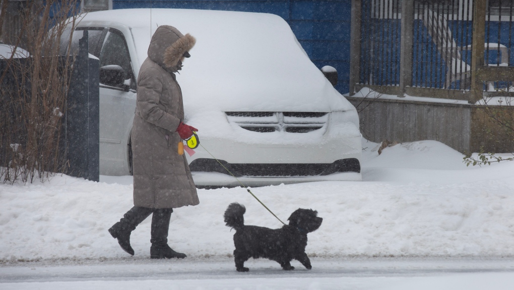 Farmers' Almanac Canada: Winter weather forecast