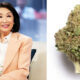 Connie Chung on the Weed Strain Named for Her: 'I'm Easy to Grow'