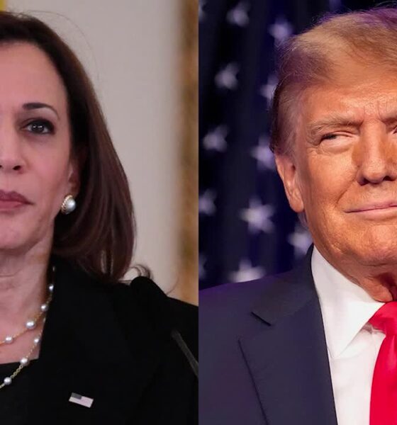 Presidential debate 2024: When will Kamala Harris and Donald Trump face off?