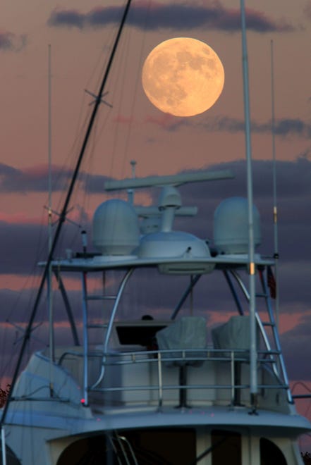 The hunter's supermoon at 99.6% full rises Wednesday evening, October 16, 2024, above boats at the Brielle Yacht Club Marina in Brielle, New Jersey.