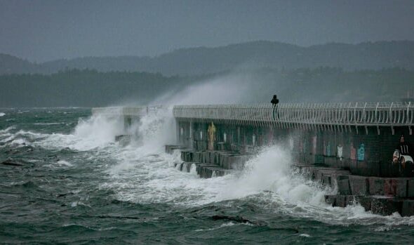 Strong winds forecast for B.C. coast before more rain moves in