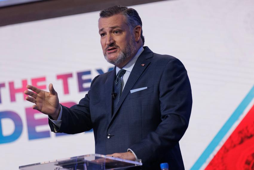 U.S. Sen. Ted Cruz, R-Texas, speaks during a debate for the U.S. Senate with U.S. Rep. Colin Allred, D-Dallas, hosted by WFAA on Tuesday, Oct. 15, 2024, in Dallas, Texas.