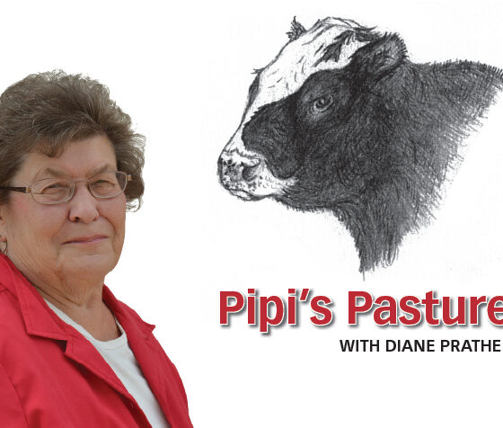 Pipi’s Pasture: Halloween with Jody and Jamie