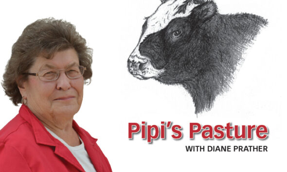 Pipi’s Pasture: Halloween with Jody and Jamie