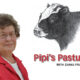 Pipi’s Pasture: Halloween with Jody and Jamie