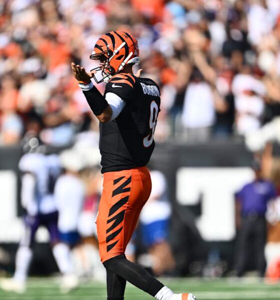 Ravens at Bengals Postgame Notes and Quotes