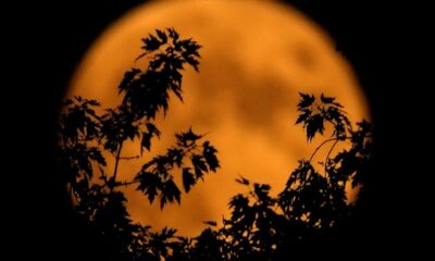 When's the next full moon? October 2024 has a hunter supermoon