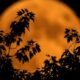 When's the next full moon? October 2024 has a hunter supermoon