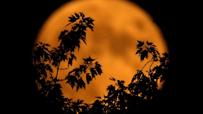 When's the next full moon? October 2024 has a hunter supermoon