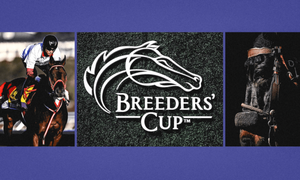 Breeders’ Cup 2024: Expert picks, odds and previews for the Classic and Saturday’s other races