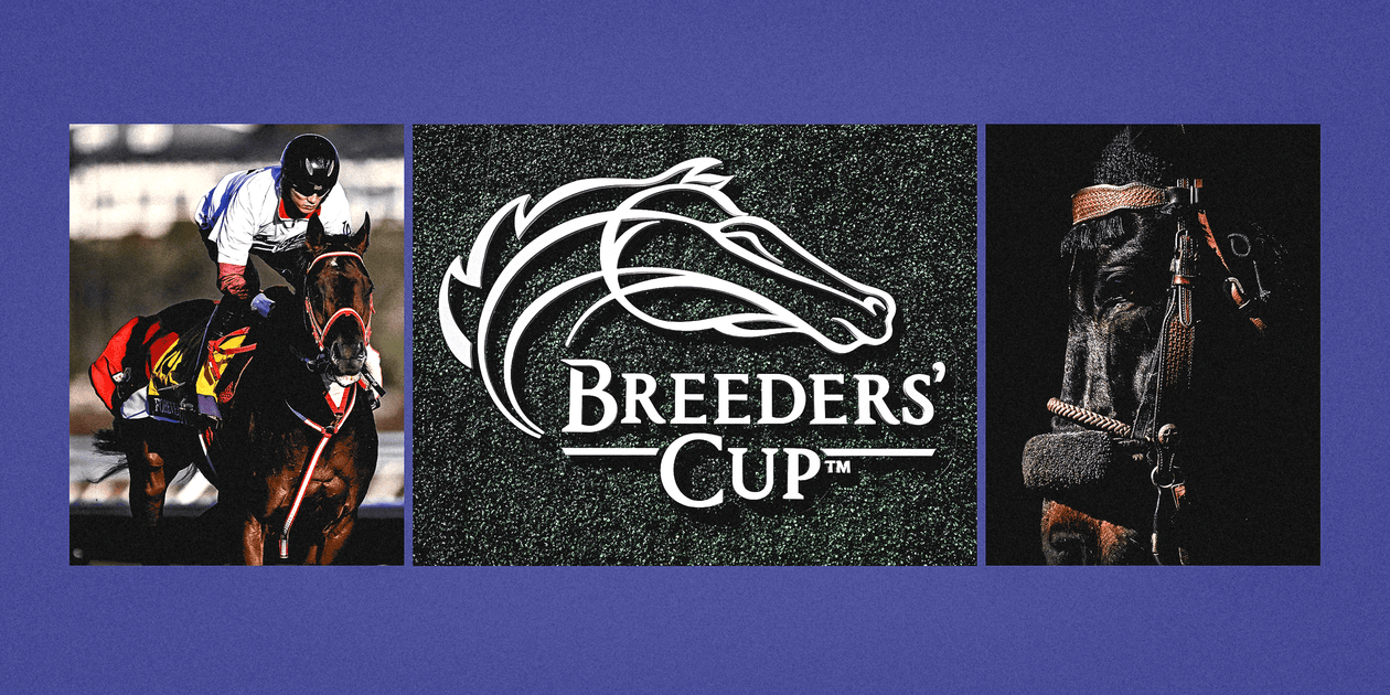 Breeders’ Cup 2024: Expert picks, odds and previews for the Classic and Saturday’s other races