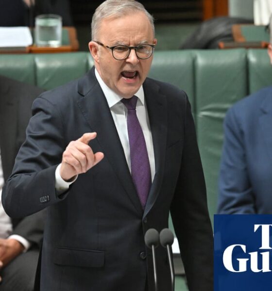 ‘Only dictatorships pretend to be perfect’: Albanese gives fiery defence of democracy after US election | Anthony Albanese