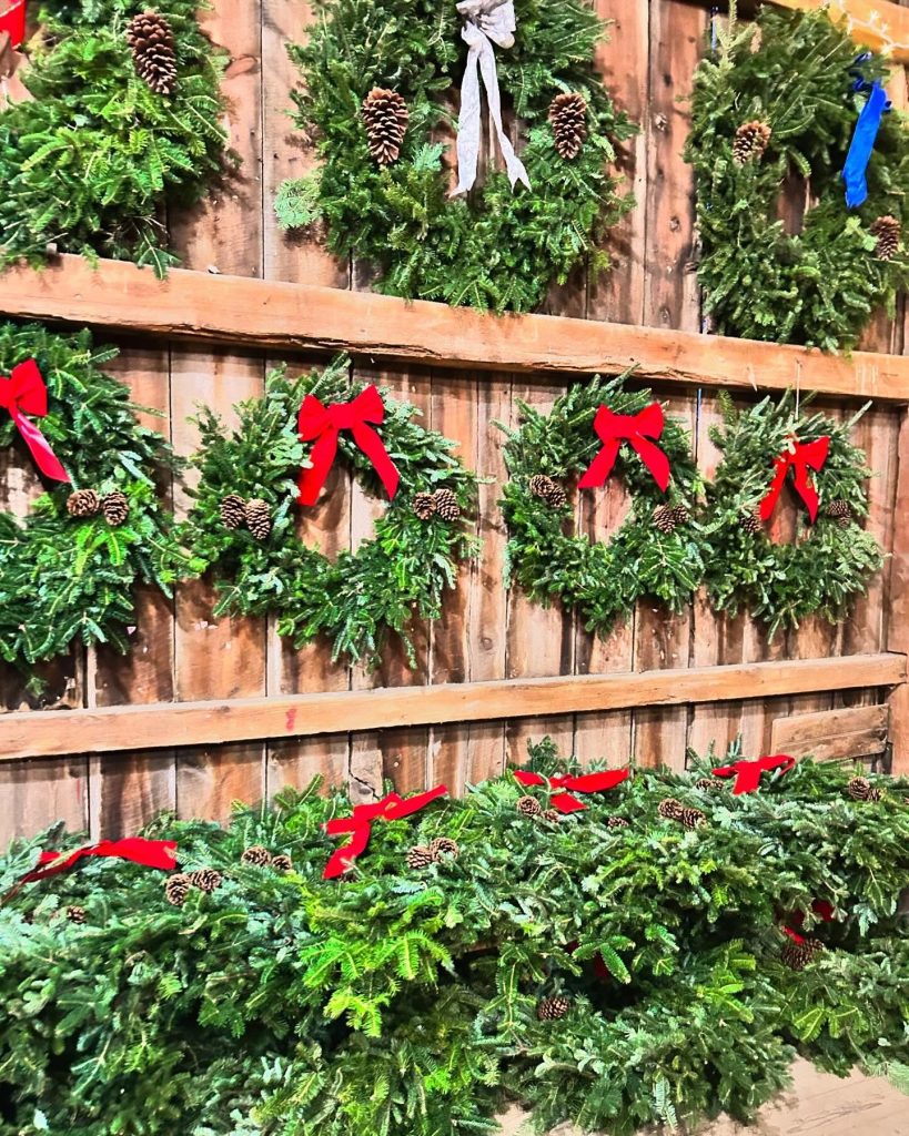 Christmas wreaths with pine cones and red bows hanging on a wooden wall, with more greenery draped along the base.