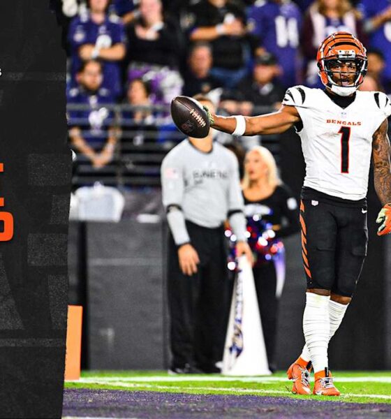 Bengals vs. Ravens Postgame Recap