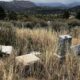 Book on historic cemeteries tells of forgotten Colorado | Lifestyle