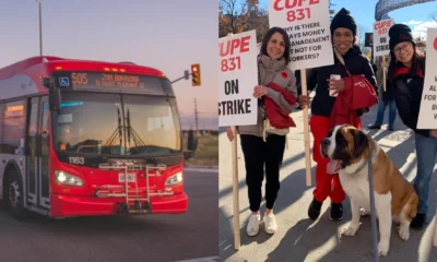 Brampton transit ‘significantly impacted’ by labour strike; 1,200 city workers walk off the job