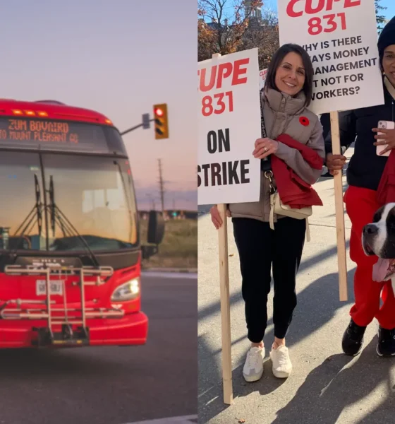 Brampton transit ‘significantly impacted’ by labour strike; 1,200 city workers walk off the job