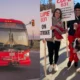 Brampton transit ‘significantly impacted’ by labour strike; 1,200 city workers walk off the job