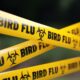 Canada Reports First Human Case Of H5N1 Bird Flu