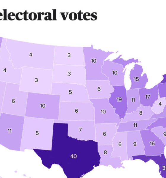 How many Electoral College votes does your state have for the 2024 election? This map will show you.