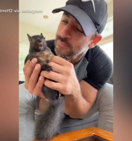 Peanut the squirrel euthanized: Mark Longo, who took in orphaned animal, says it's 'surreal' New York officials euthanized his pet