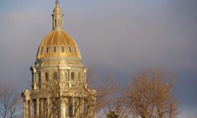 Who was elected to Colorado legislature from Larimer? See their plans