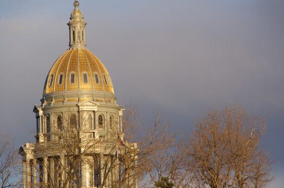 Who was elected to Colorado legislature from Larimer? See their plans