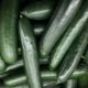 SunFed cucumbers sold in U.S. and Canada recalled due to salmonella risk