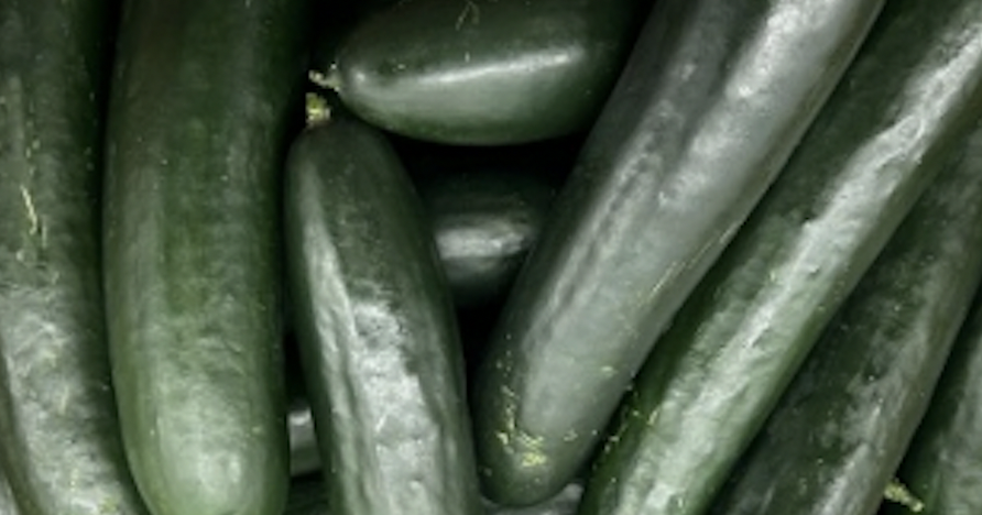 Cucumbers in Ontario and other Canadian provinces recalled | News