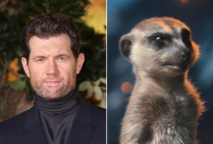 Timon (Billy Eichner)