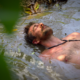 Aaron Rodgers Fully Trips Out in a Mind-Bending New Ayahuasca Doc