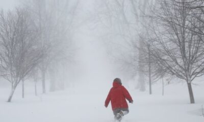 Intense Ontario snow strands vehicles, knocks out power as town calls emergency